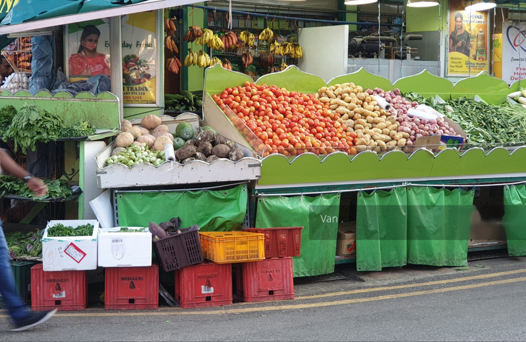 Syed Alwi Road (D8), Shop House #228663131